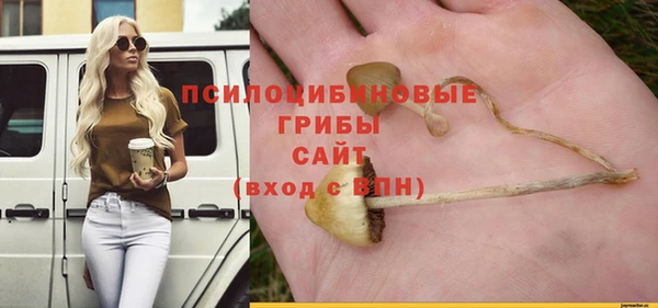 хмурый Коряжма