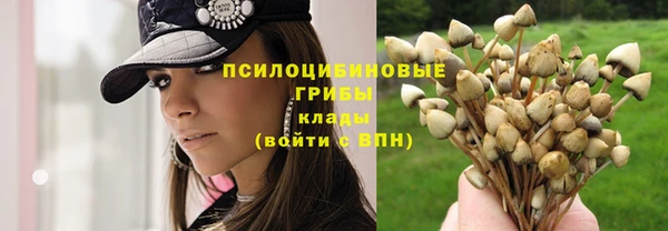 стаф Кулебаки