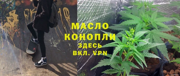 стаф Кулебаки