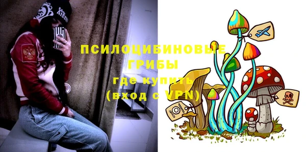 стаф Кулебаки