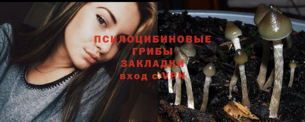 гашик Костерёво