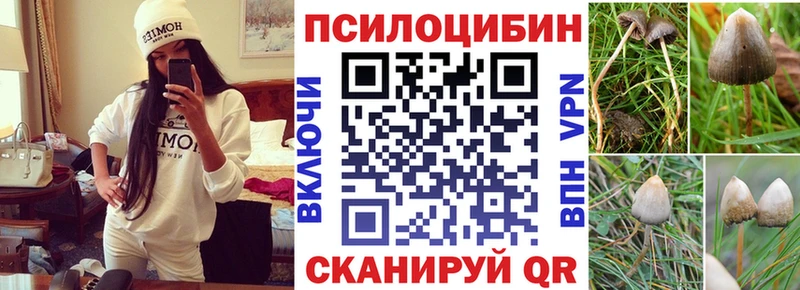 Купить закладки  Арсеньев  Галлюциногенные грибы GOLDEN TEACHER 
